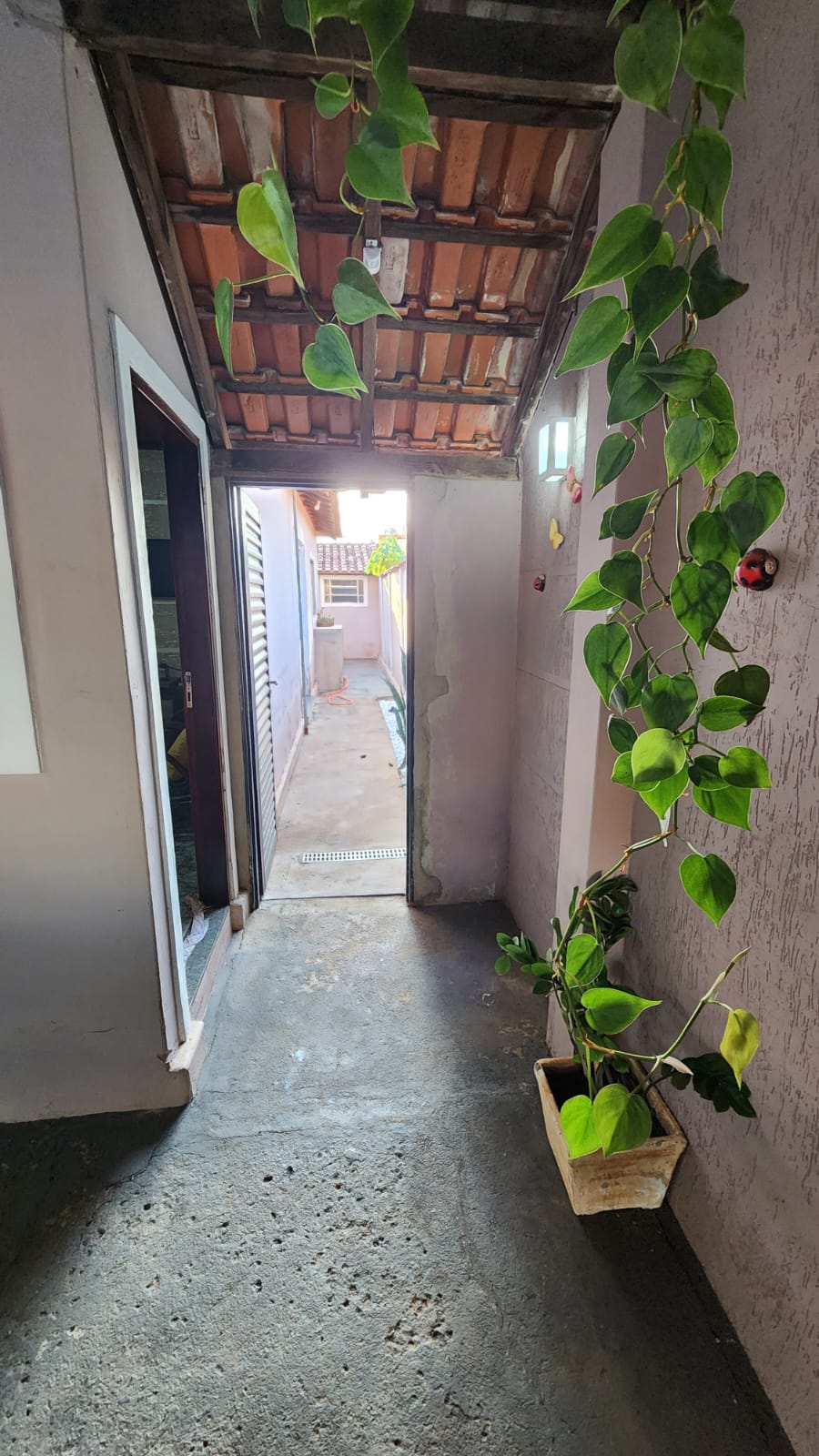 VENDO CASA COM SUÍTE